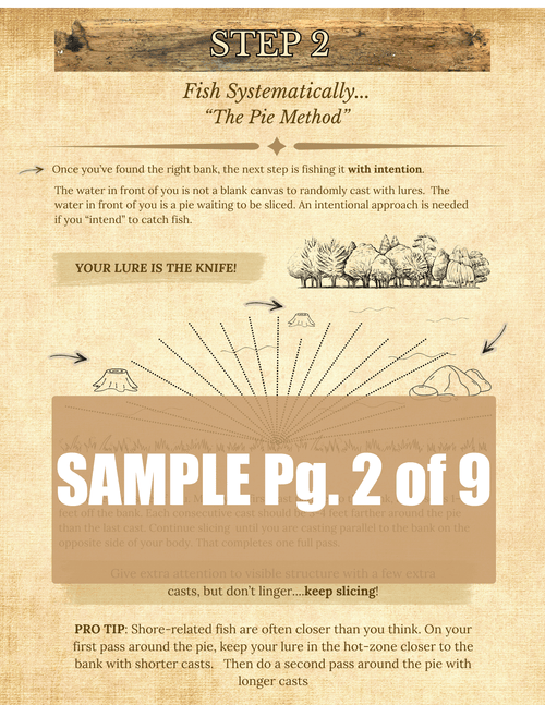 The Bank Fishing System (PDF Download)  Fish with intention. Fish actively
